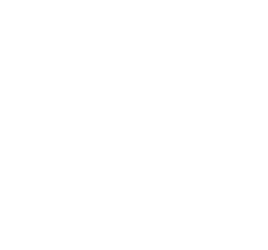 IVR icon